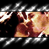 5-cordyangel2