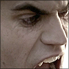 21_07_stefan