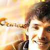 merlin11b_colin