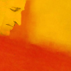 noah_adoptable12_mark_rothko_orange-and-yellow