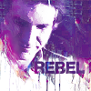 sw_manip_han_2