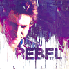 sw_manip_han_a