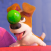 pets0031a