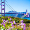 sfodtn-san-francisco