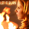 Buffy the Vampire Slayer