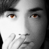 zyl_11yang_plrz3h.png