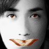 zyl_11yang_plrz3h_sa.png