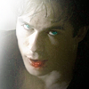 tvd_115-0186